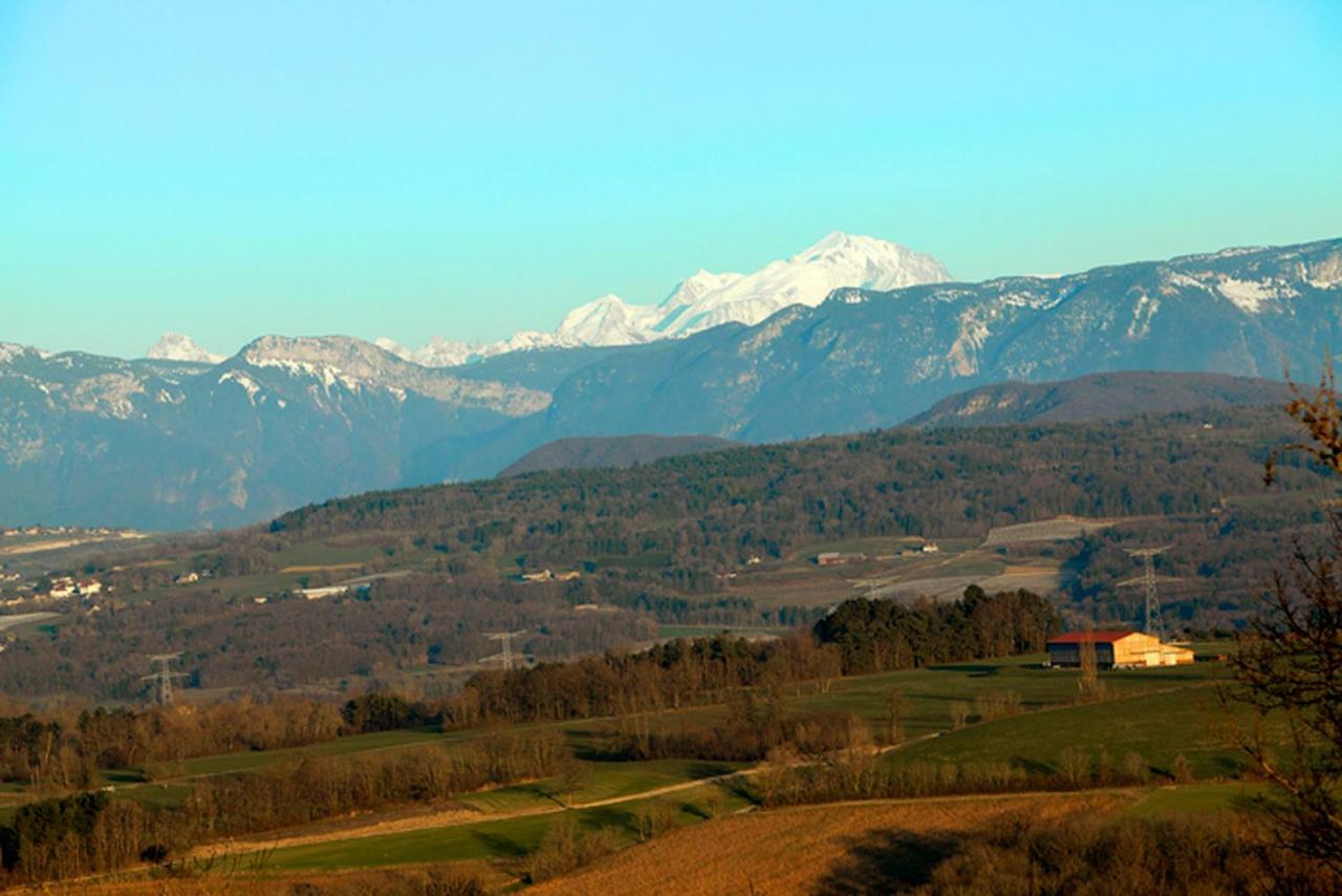 مبيت وإفطار Chaumont  Le Manoir المظهر الخارجي الصورة