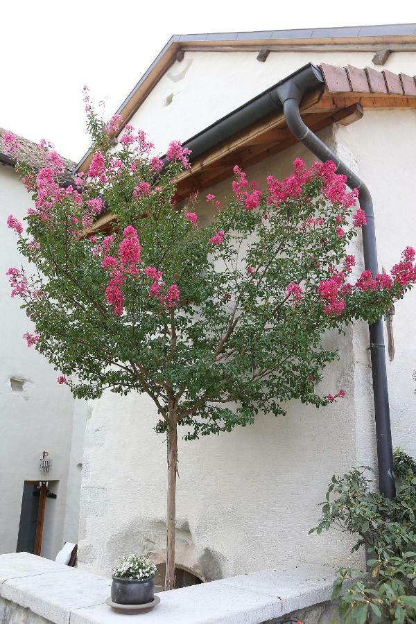 مبيت وإفطار Chaumont  Le Manoir المظهر الخارجي الصورة